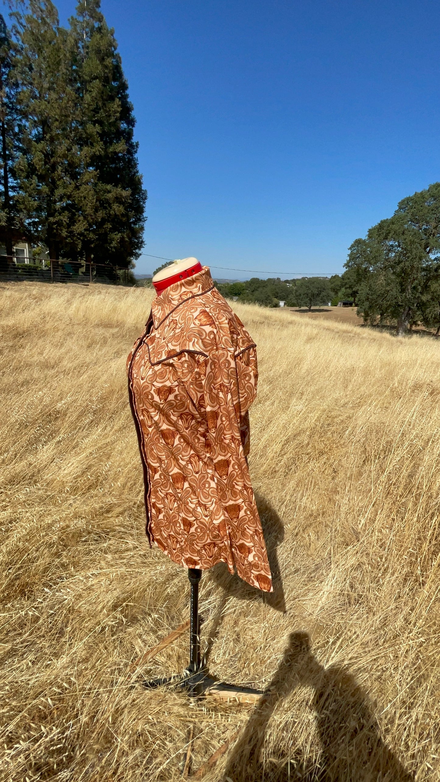 Rustic Rodeo Queen